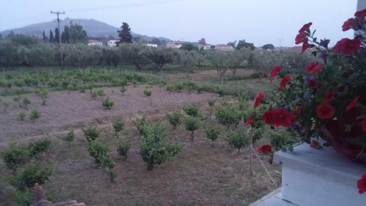 Aloisio'S Estate Apartment Gaitani Екстериор снимка